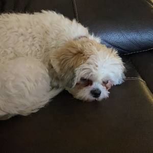 Meet your Posher, Diane